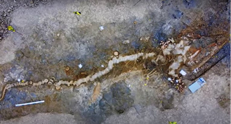 U Engleskoj otkriven ogroman fosil 