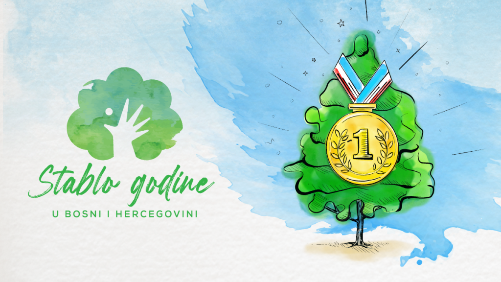 UNDP u BiH - Putem platforme TvojCO2.ba – izbor stabla godine u Bosni i Hercegovini