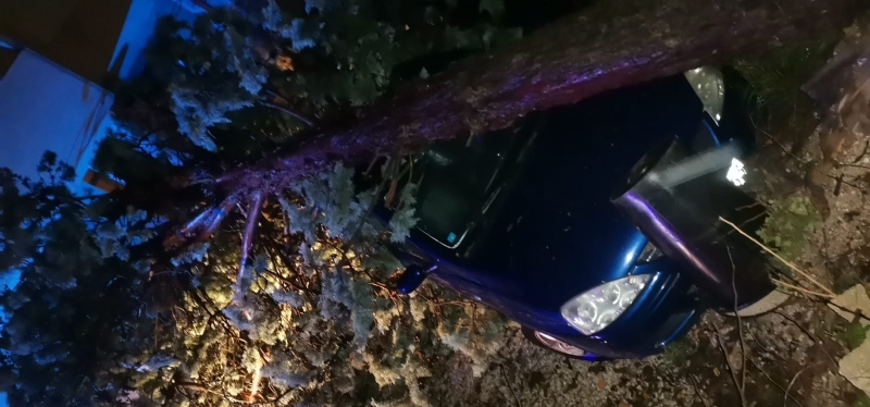 Oluja u Mostaru sinoć rušila stabla, uništeno nekoliko automobila