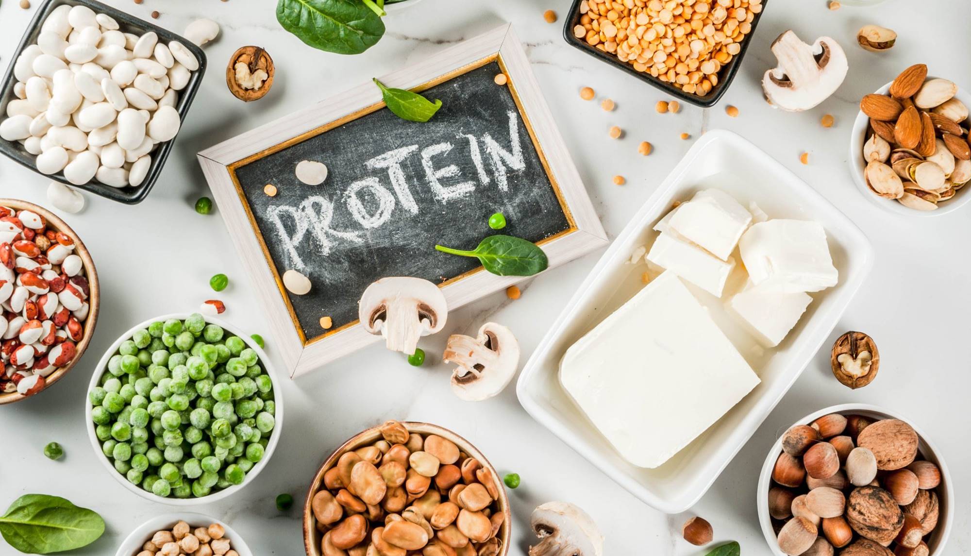 Biljni proteini