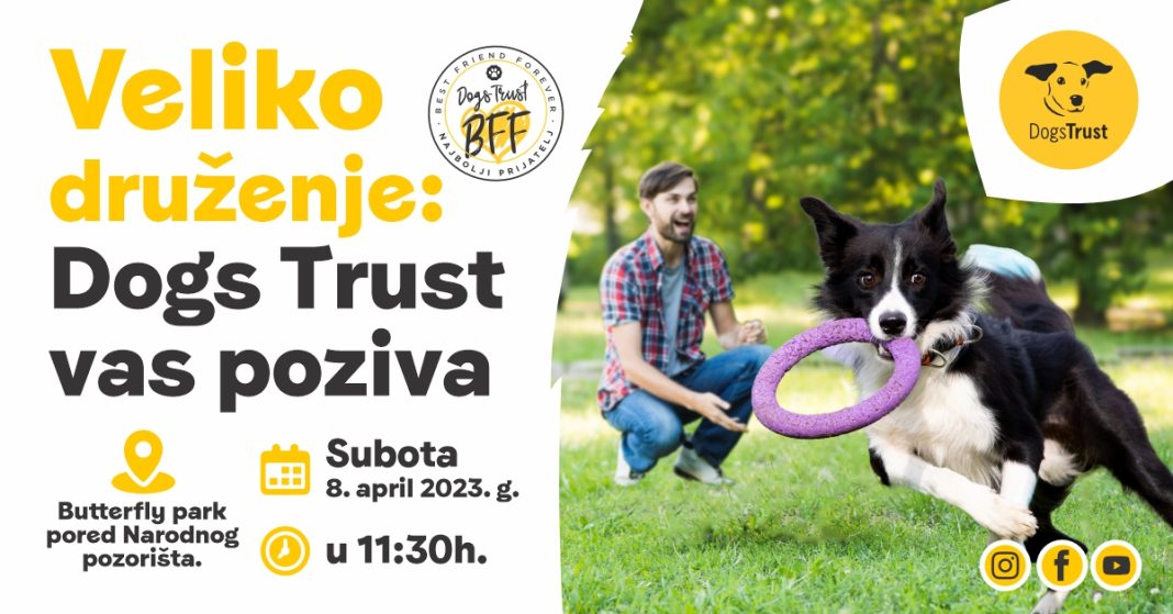 Veliko Dogs Trust druženje u Banja Luci