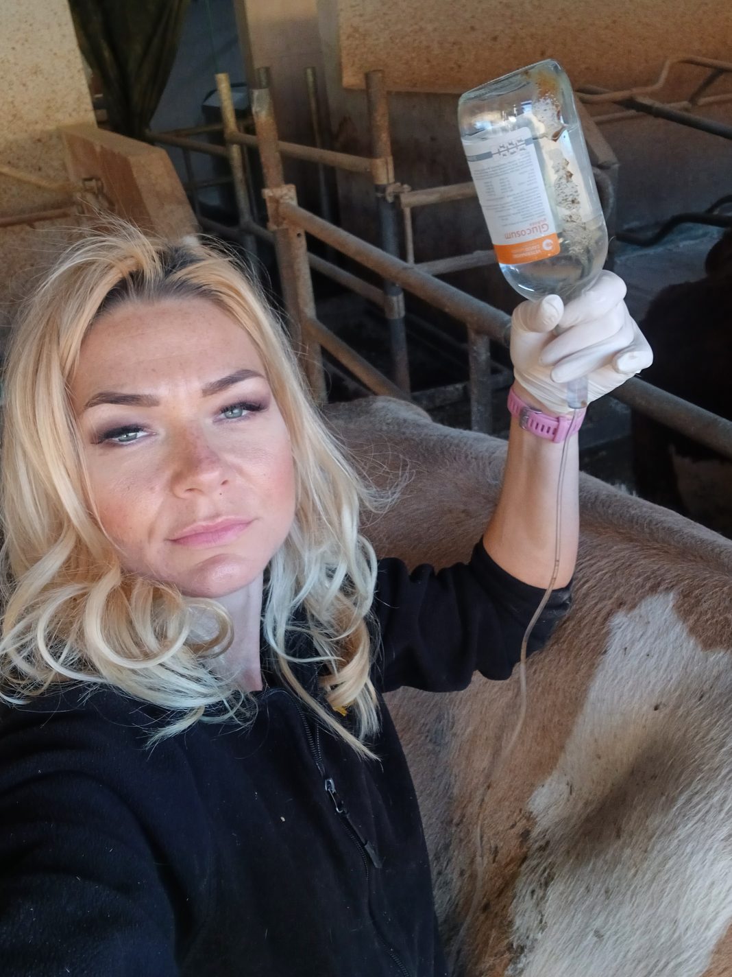 Amina Kadribašić veterinarka na Farmi Euro Vitez: Rad na farmi zahtijeva strast, strpljenje i posvećenost