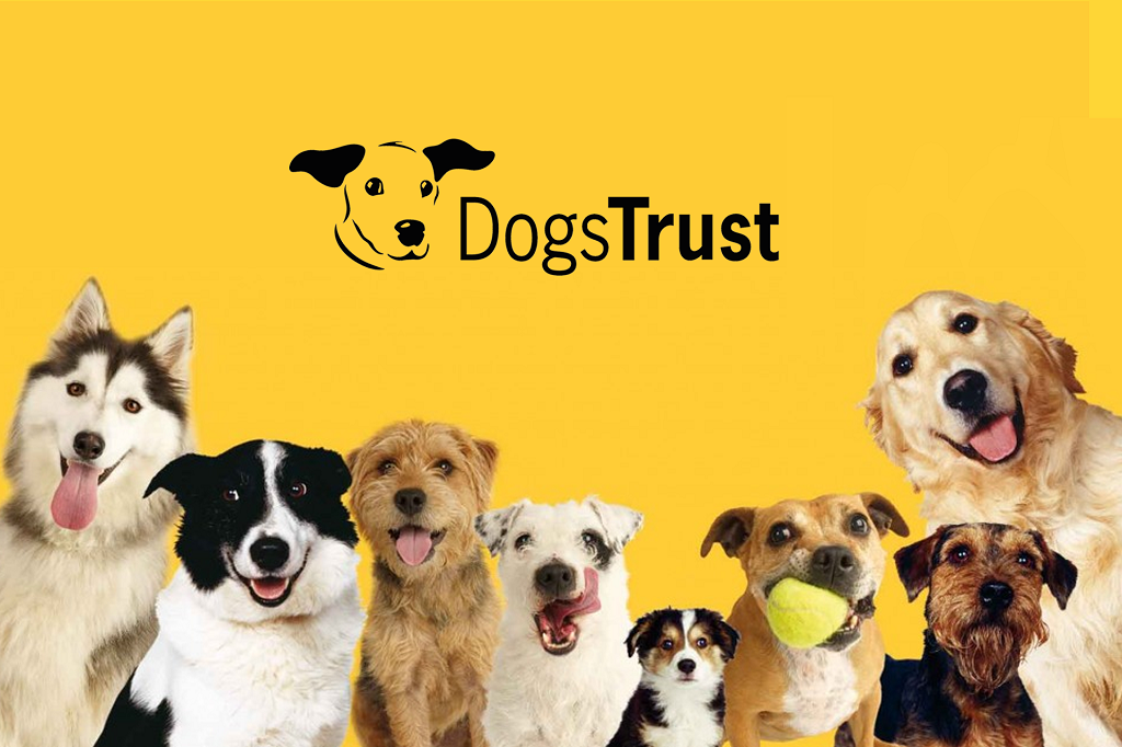 Fondacija Dogs Trust BiH istraživanje javnog mnijenja – Učešćem pomažete boljoj podršci trajnom zakonskom i humanom rješavanju problema pasa lutalica