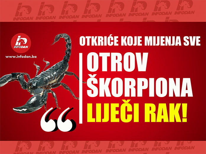 OTKRIĆE KOJE MIJENJA SVE: Otrovu amazonskog škorpiona naučnici pripisuju moć uništavanja raka dojke!