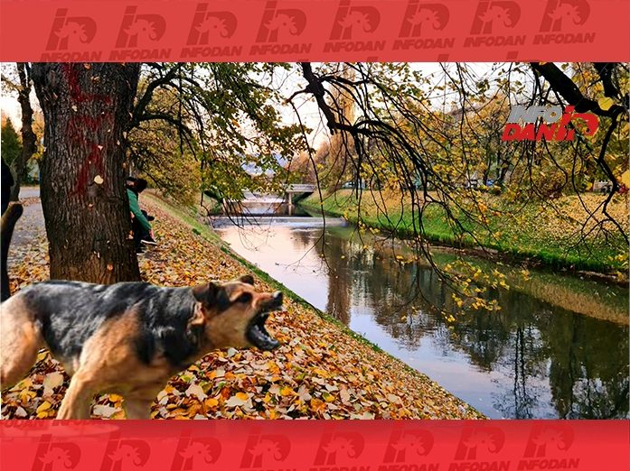 Drama na Vilsonovom šetalištu: Pas lutalica napao dječaka