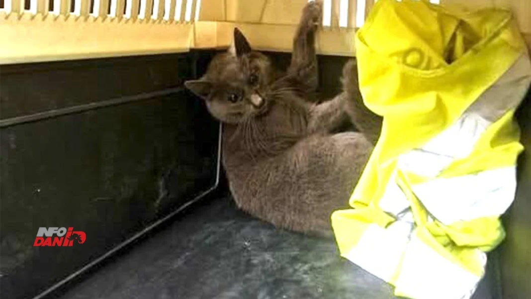 Tražili je dvije sedmice, a ona se izležavala na aerodromu Sarajevu