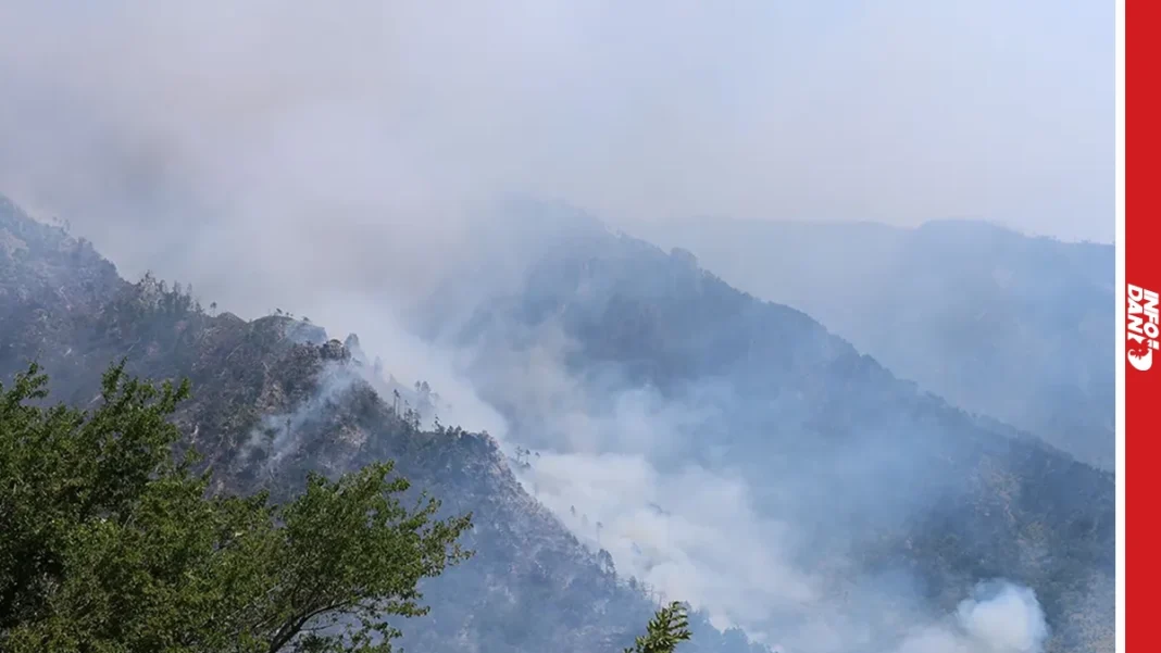 Velika borba s požarima u Hercegovini