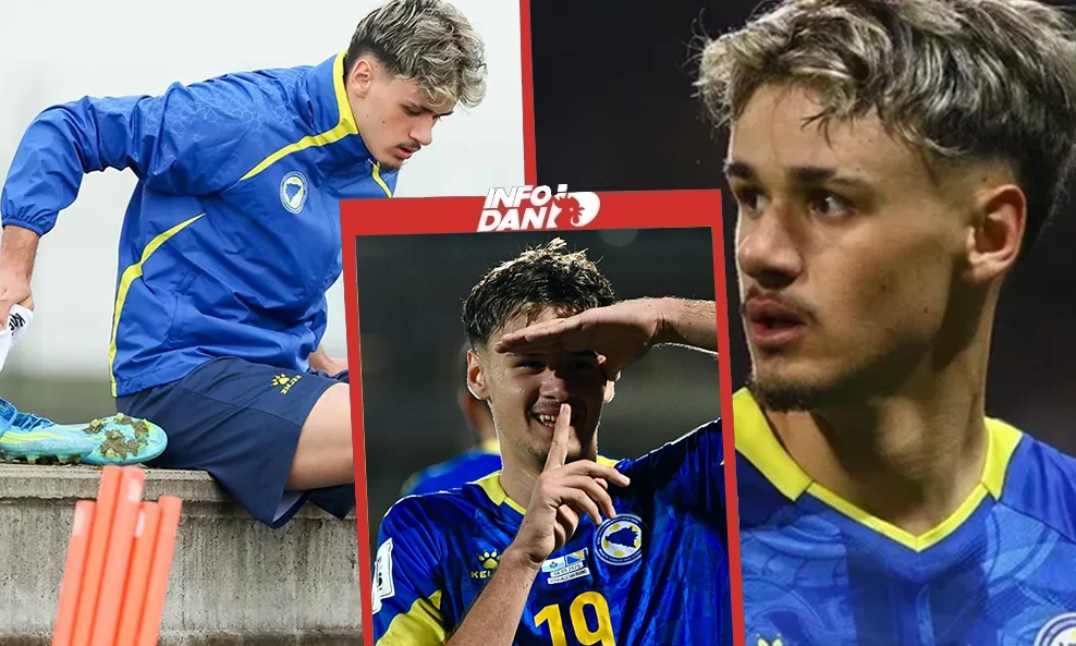 BiH večeras bez junaka protiv Švedske: Alajbegović otpao za Poljsku?
